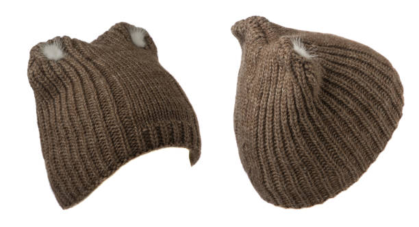 istock Women's hat . knitted hat isolated on white background. brown hat 1332980854
