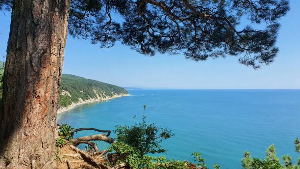 istock Beautiful sea view from the mountain 1332982223