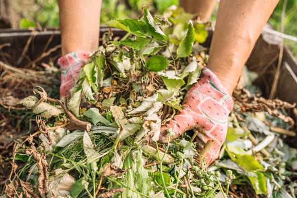 istock shoveling the compost heap in the backyard 1332986918