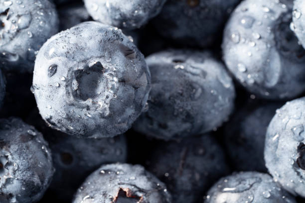 istock Blueberries closeup background full frame macro blueberry with dew water drops 1332988209