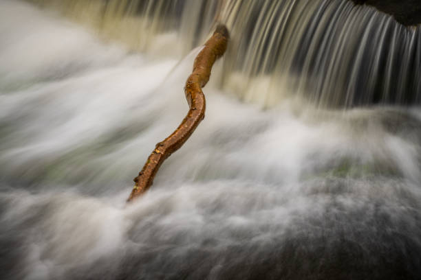 istock Aysgarth Falls, North Yorkshire, England 1332989208