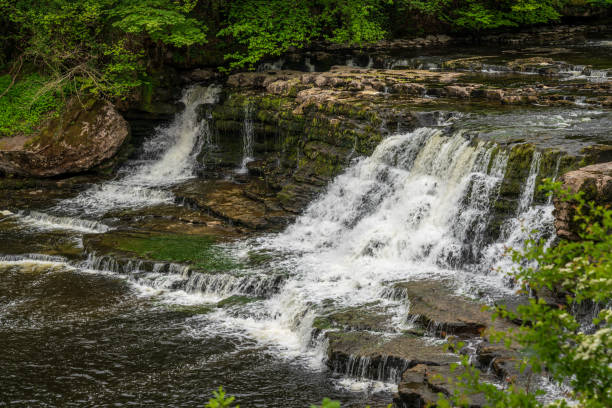 istock Aysgarth Falls, North Yorkshire, England 1332989211