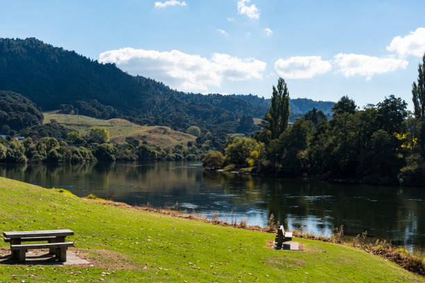 Riverbank of the Waikato River in Ngaruawahia, New Zealand Riverside park in the small town of Ngaruawahia, Waikato, New Zealand waikato river stock pictures, royalty-free photos & images