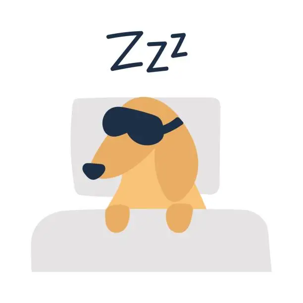 Vector illustration of Dachshund sleeping wearing sleeping mask.