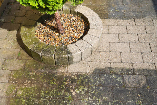 istock High pressure water cleaning . 1333001766