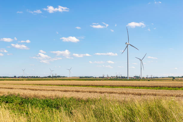 istock Wind power plants on the background of half and blue sky 1333002809