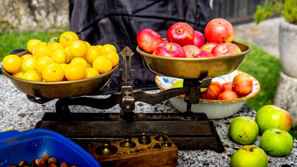 frutas en una escala - weight scale apple comparison balance fotografías e imágenes de stock