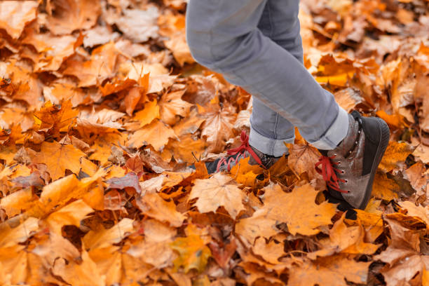 istock Fallen autumn leaves baby feet. 1333015771