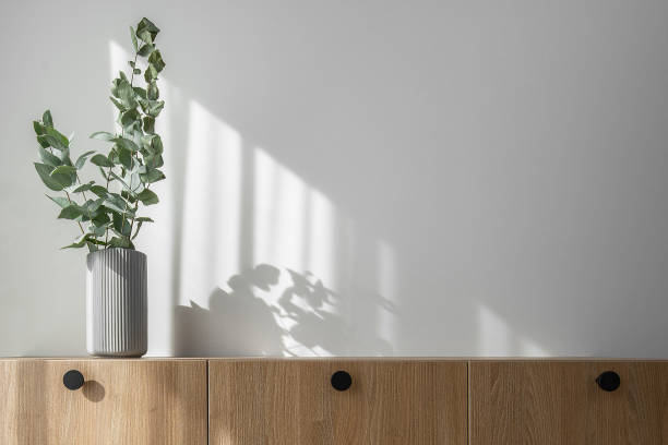 Dry eucalyptus branches in modern minimalist grey vase on wooden TV stand with beautiful shadows from sun on white wall Dry eucalyptus branches in modern minimalist grey vase on wooden TV stand with beautiful shadows from sun on white wall spa room stock pictures, royalty-free photos & images