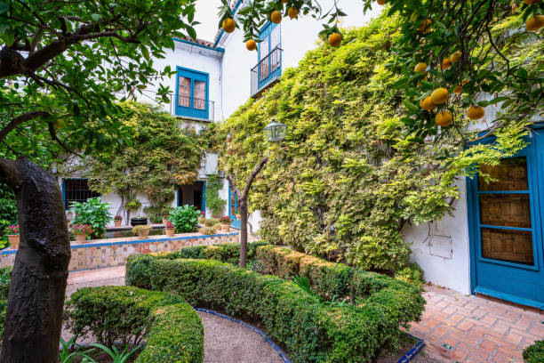 patio jardín del palacio de viana en córdoba, andalucía, españa - palacio espanol fotografías e imágenes de stock