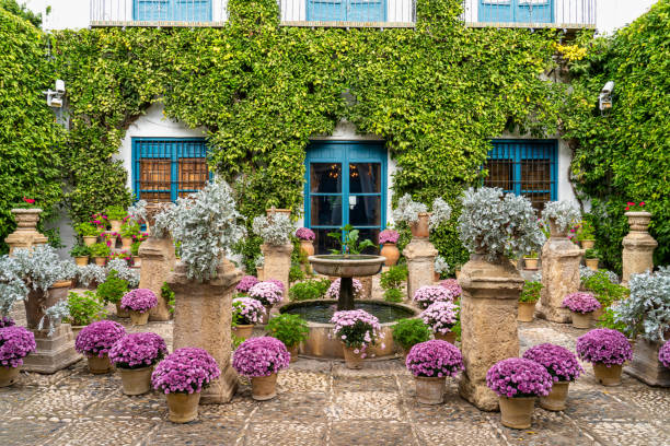 jardim do palácio de viana em córdoba, andaluzia, espanha - marquises - fotografias e filmes do acervo