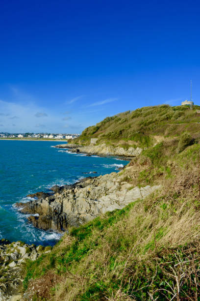 istock Coastline in Falmouth, Cornwall, UK 1333022081
