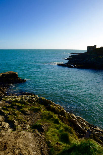 istock Coastline in Falmouth, Cornwall, UK 1333022082