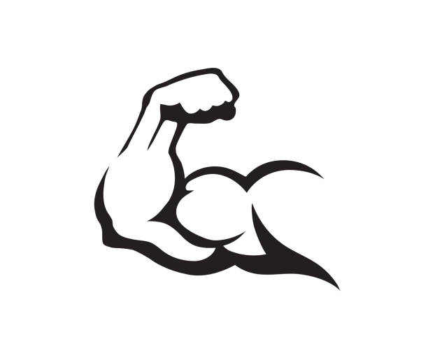 creative bodybuilder bicep muscular arm  vector design symbol creative bodybuilder bicep muscular arm  vector design symbol muscular build stock illustrations
