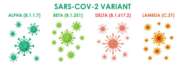 Set of Coronavirus or SARS-CoV-2 Variant Set of Coronavirus or SARS-CoV-2 Variant Illustration,coronavirus SARS-CoV-2 flu disease pandemic sars cov 2 delta variant stock illustrations