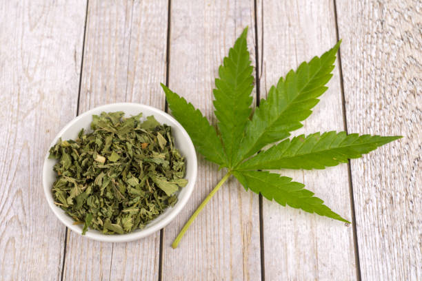 leaf of hemp plant and cannabis tea - cannabis, marijuana - photography sign table ganja imagens e fotografias de stock