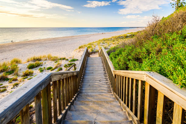 istock Boardwalk to O'Sullivan Beach with people at sunset 1333023729