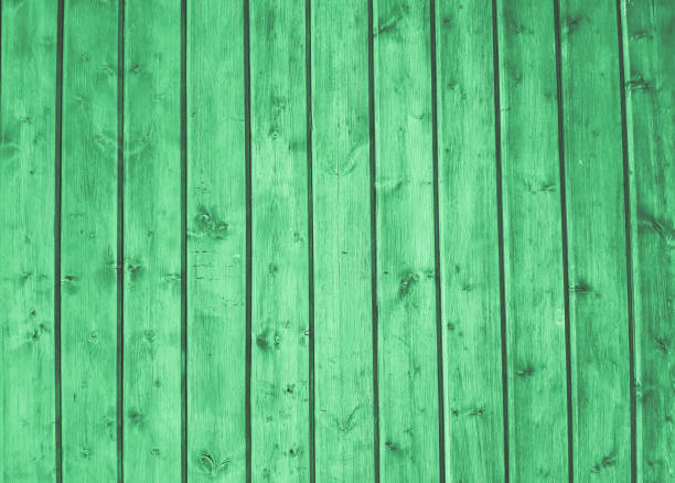 istock Wooden green background abstract texture board bark 1333023754