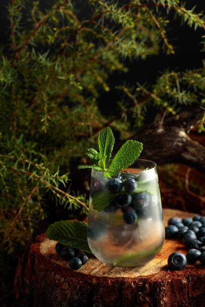 istock Cocktail with ice, blueberries, and mint on a pine stump in the forest. 1333026546