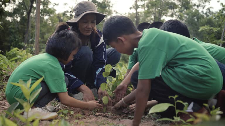 Children are having fun planting trees. in the concept of saving the world