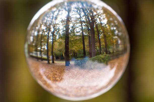 istock put a forest in a lens ball 1333028483