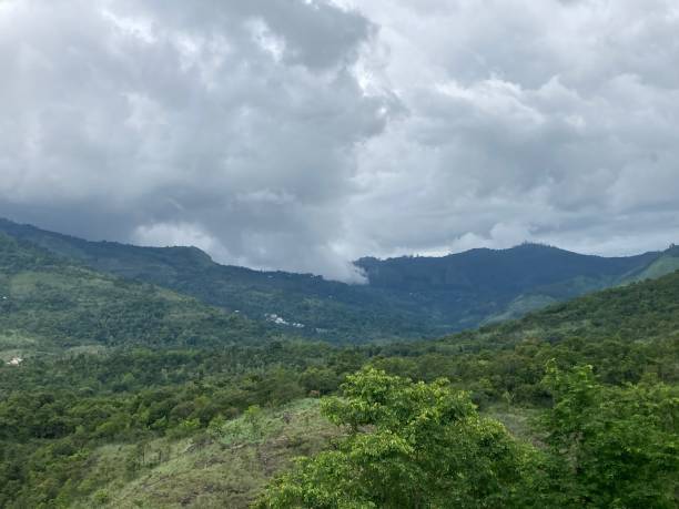 istock Palani hills, India 1333028646