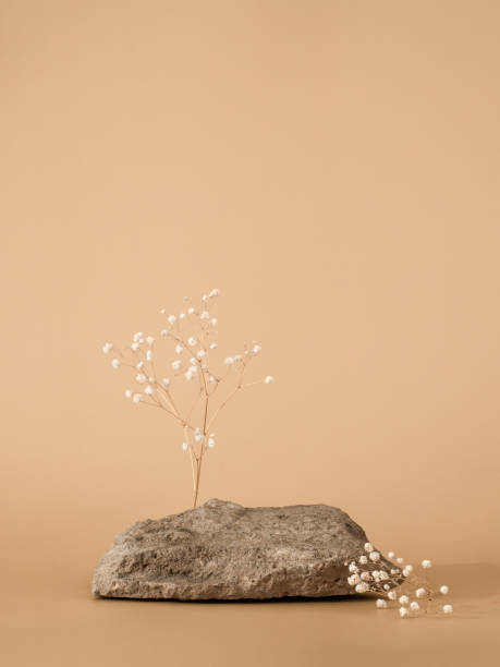 istock Stone podium mockup on pastel beige background 1333030999