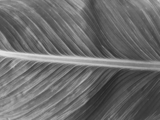 Abstract dark background texture stock photo