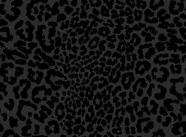ミニマリストブラックヒョウシームレスベクターパターン。ブラックパンサーアニマルプリント。動物のプリントデザイン。 - ヒョウ点のイラスト素材／クリップアート素材／マンガ素材／アイコン素材
