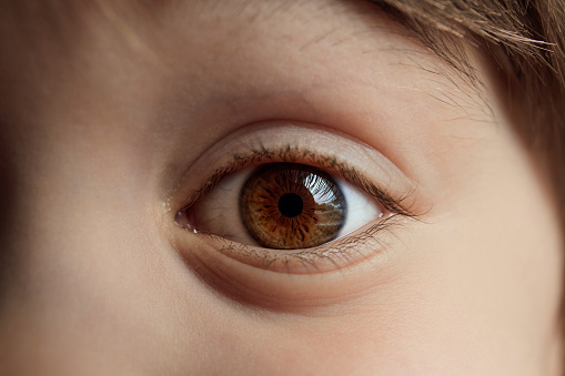 Beautiful big brown eye close-up. Caucasian appearance. Part of a child's body. Dark saturated color. Eyesight check. Macro. Happy childhood. Caring for the health of vision. Good emotion. Happiness.