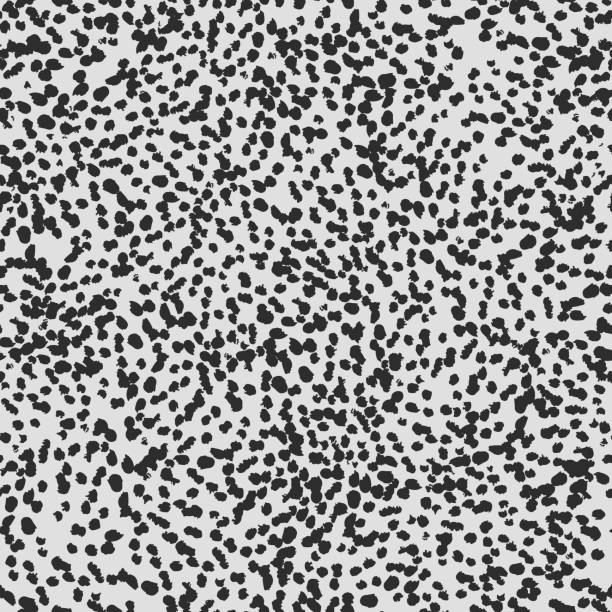 Animal print seamless pattern design with small black spots on light grey background. Vector seamless pattern with black brush strokes on white background. Animal print seamless pattern design with small black spots on light grey background. Vector seamless pattern with black brush strokes on white background. appaloosa stock illustrations