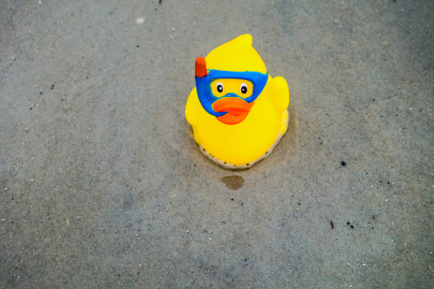istock Duck with diving Goggles on the Beach 1333037671