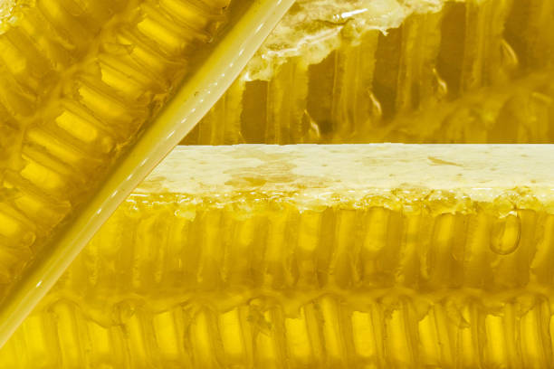 istock Honeycombs with Honey extreme close-up 1333037722