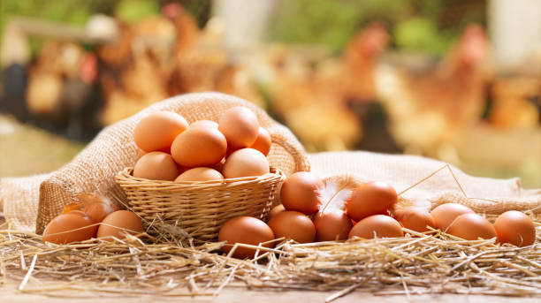 istock chicken eggs on a wooden table over farm in the countryside 1333037726