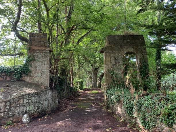 istock Ruined stone entrance 1333041195