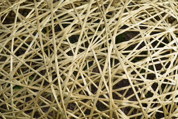 Close-up shot of a natural woven seagrass surface with a symmetrical diagonal weave pattern in earthy beige tones.\nConcept: woven texture, natural material, seagrass mat, rustic background, eco-friendly design, organic surface, home decor texture, braided straw, handicraft pattern, artisan weave