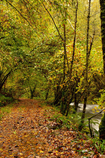 istock Asturias natural landscape 1333049115