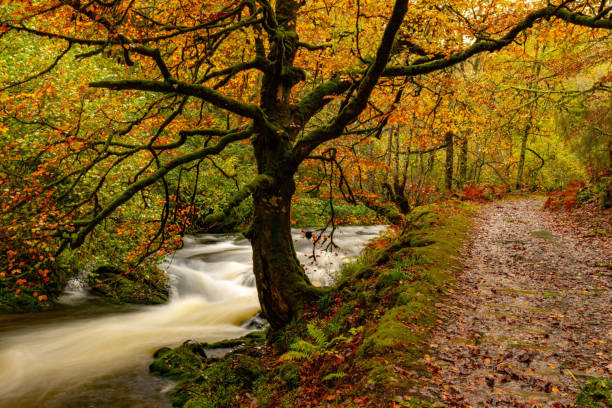 istock Asturias natural landscape 1333049168