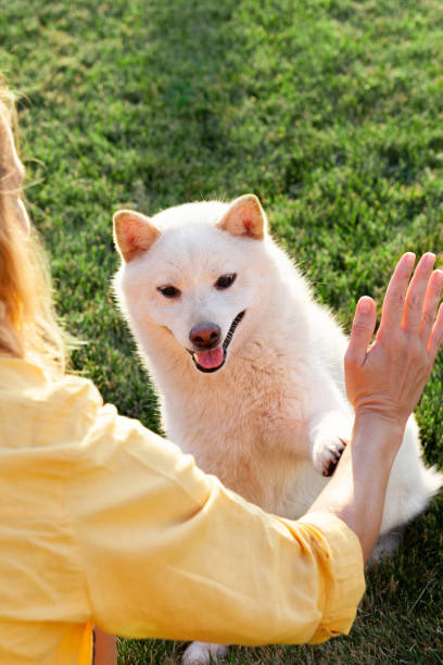 istock Woman playing with dog 1333051251