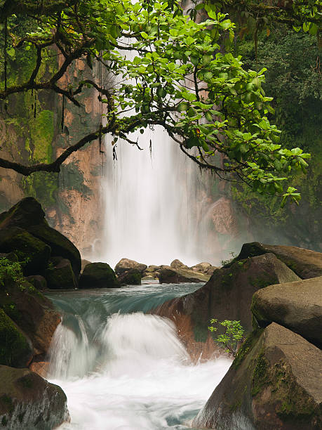himmelblauen-wasserfall - costa rica waterfall heaven rainforest stock-fotos und bilder