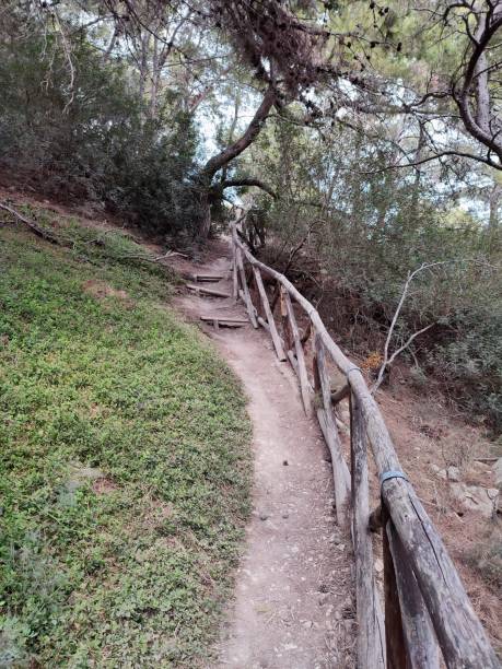 istock Tremiti Islands – Path of Cala Matano 1333061919