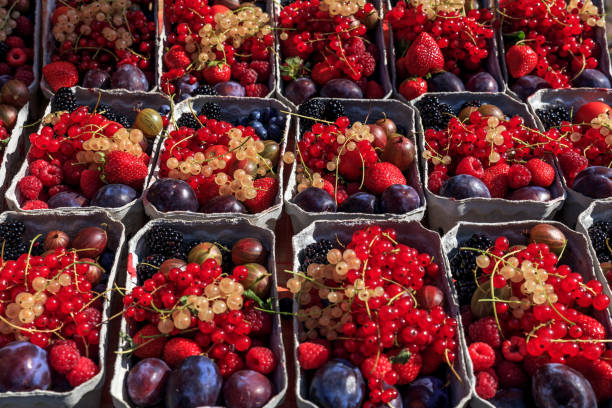 istock fresh summer berry fruits 1333063332
