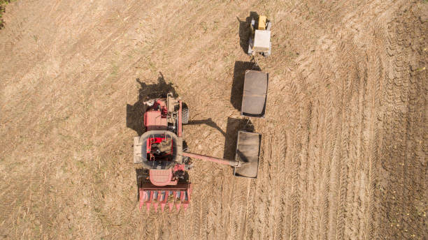 istock Aerial view, combine harvester unloading sunflower seeds into tractor trailer. 1333064256