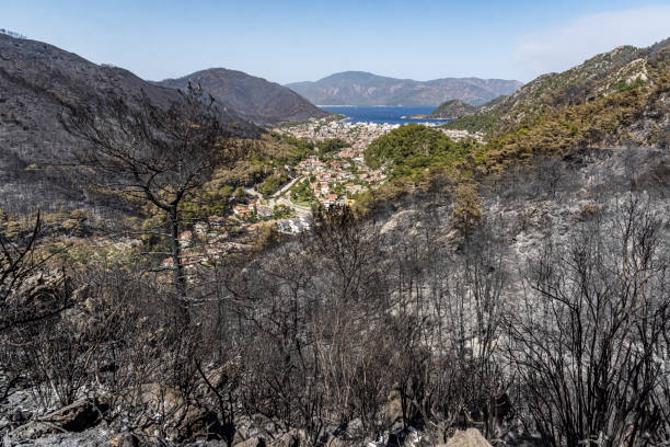 general view of burnt forest fire in marmaris resort, icmeler, turkey - icemeler imagens e fotografias de stock