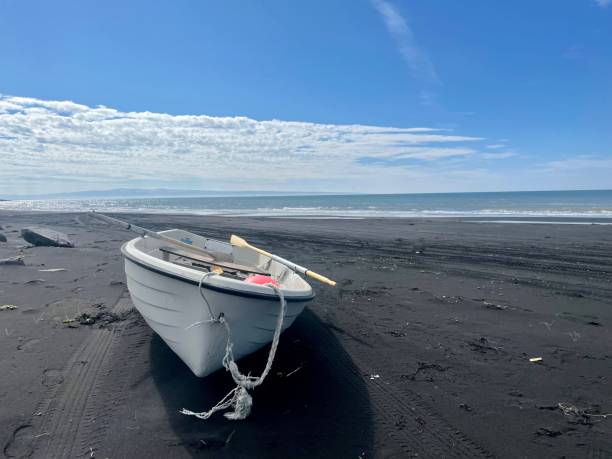 istock An East Iceland Beach 1333069078