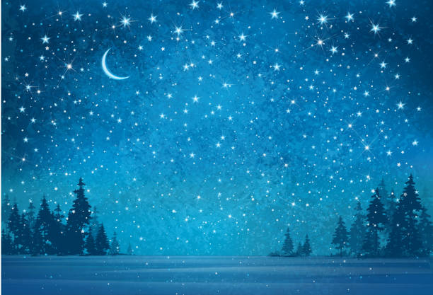 bildbanksillustrationer, clip art samt tecknat material och ikoner med vector winter wonderland night background. - winter wonderland