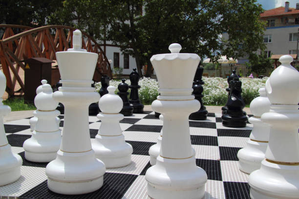 Chess board made of big pieces on the grass stock photo
