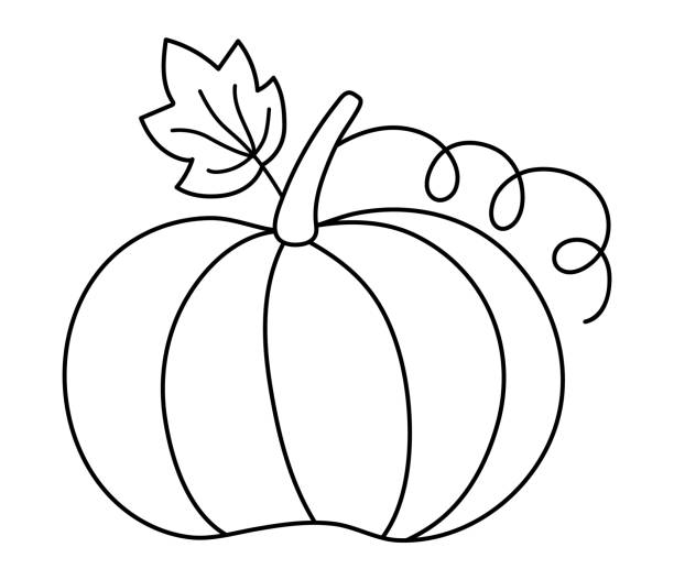 wektor cute czarno-białej dyni. jesienne warzywa. zarys squasha. śmieszne warzywnie żniwa ilustracji linii. tradycyjne święto dziękczynienia lub symbol halloween - crookneck squash stock illustrations