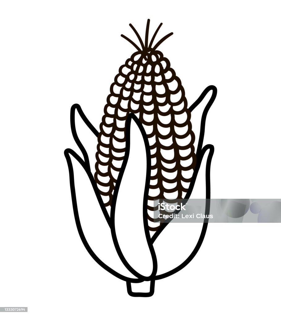 Vector Black And White Corn Cob Autumn Outline Vegetable Line Veggie Funny  Illustration Isolated On White Background Healthy Food Icon Stock  Illustration - Download Image Now - iStock
