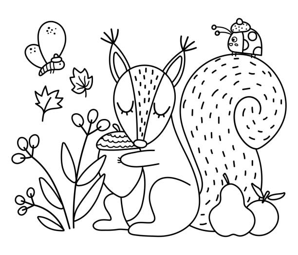 Black and white squirrel with acorn insects, fruits. Vector outline autumn scene with adorable animal. Fall season woodland scenery or coloring page. Funny forest line illustration. Black and white squirrel with acorn insects, fruits. Vector outline autumn scene with adorable animal. Fall season woodland scenery or coloring page. Funny forest line illustration. autumn coloring pages stock illustrations